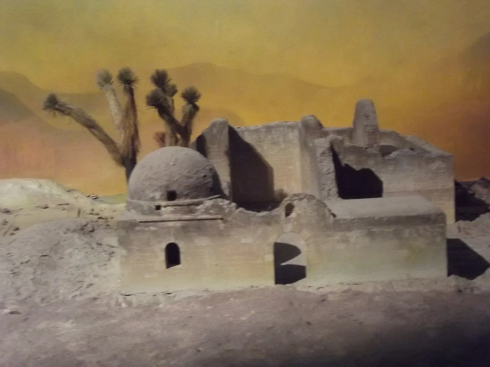 Museo del Desierto