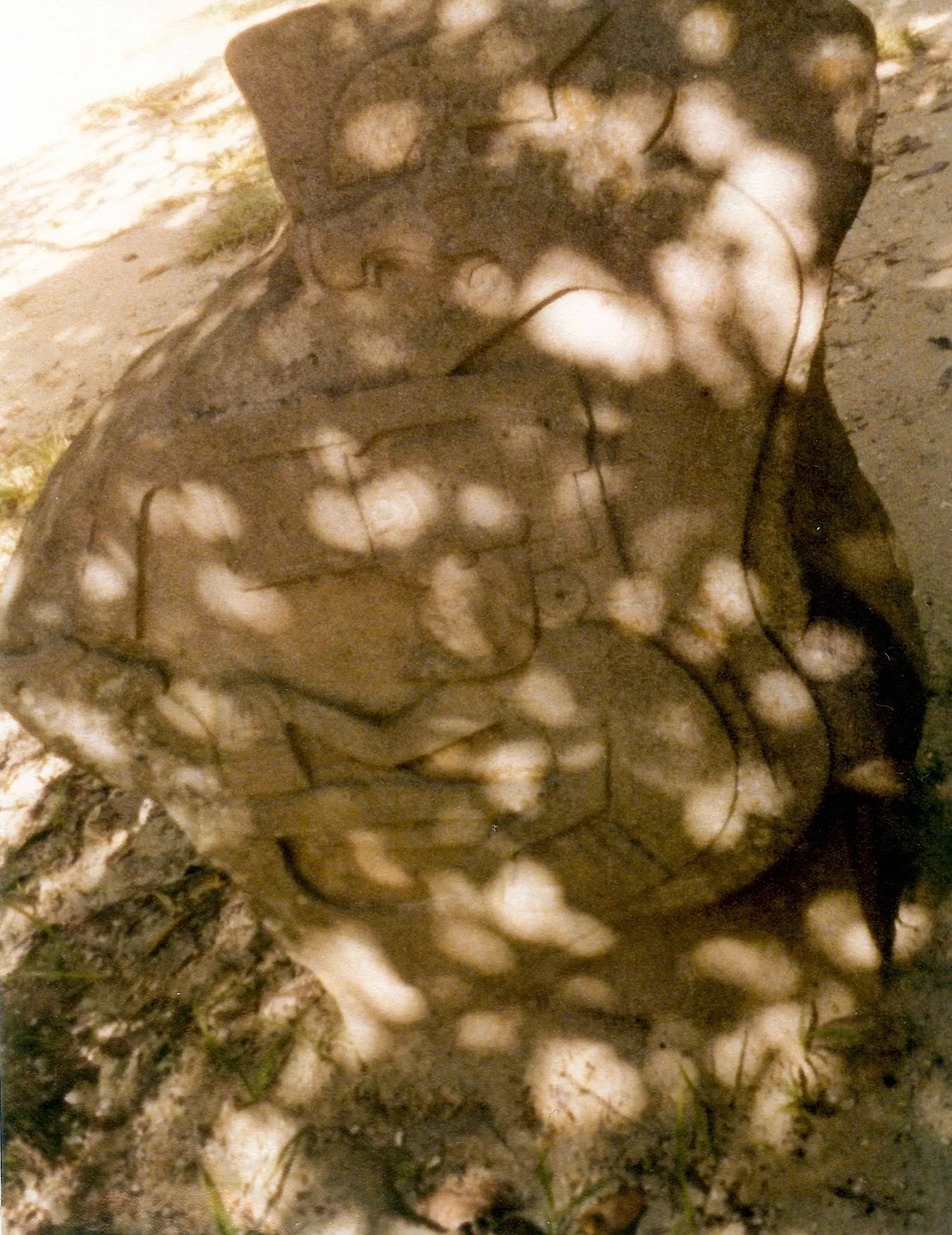 Parc-musée de la Venta