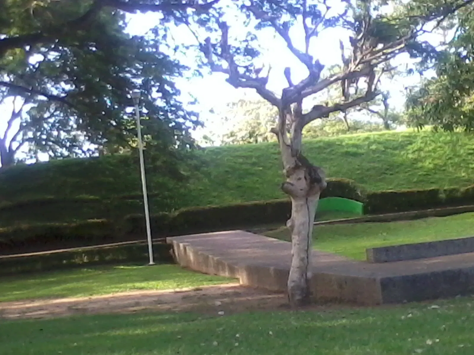 La Venta Museum-Park