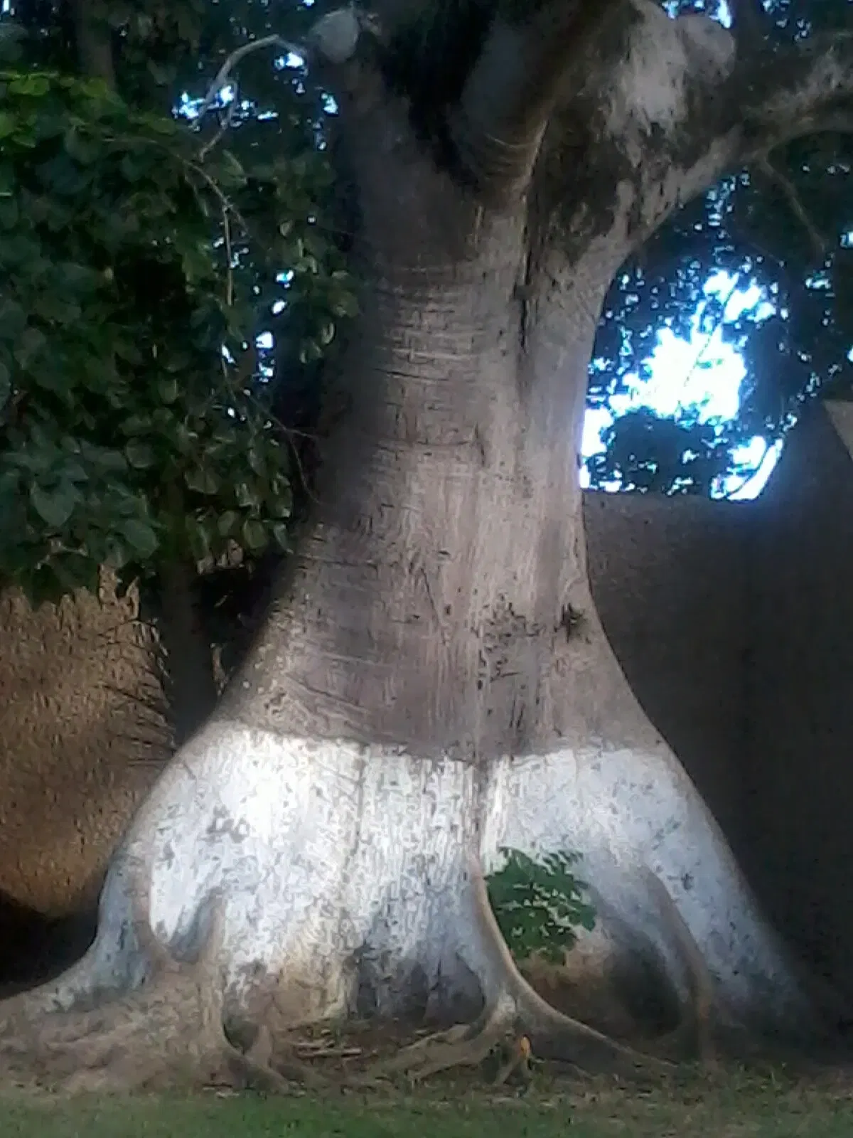 La Venta Museum-Park