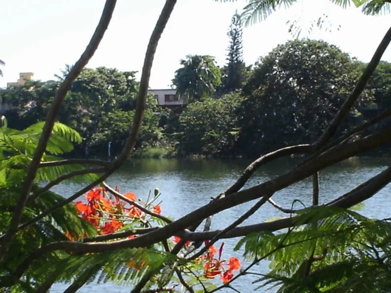 Parc-musée de la Venta