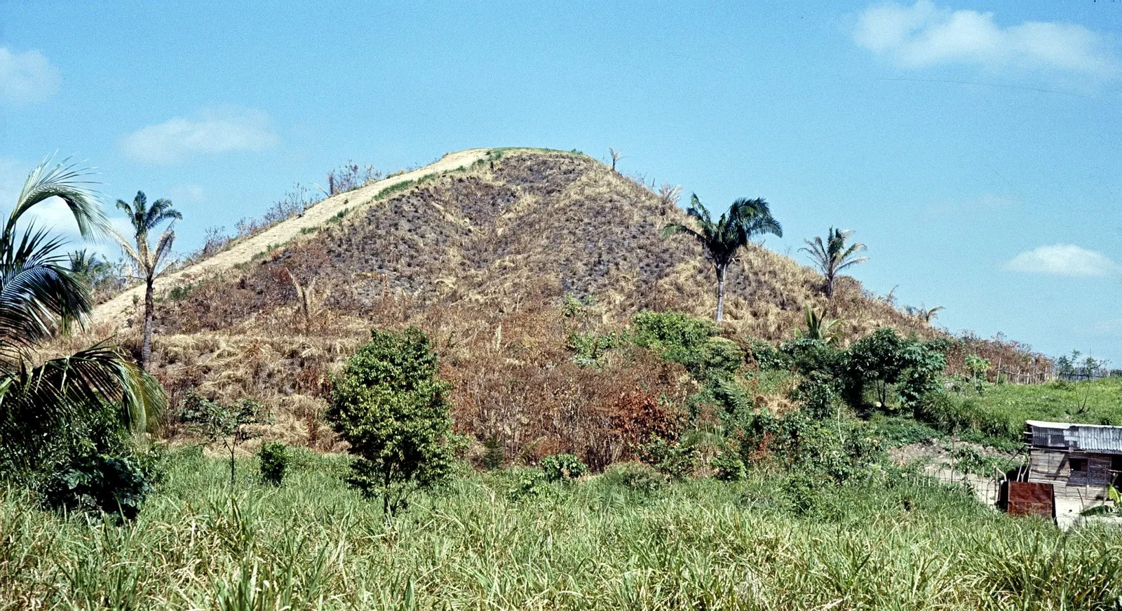 La Venta Museum-Park