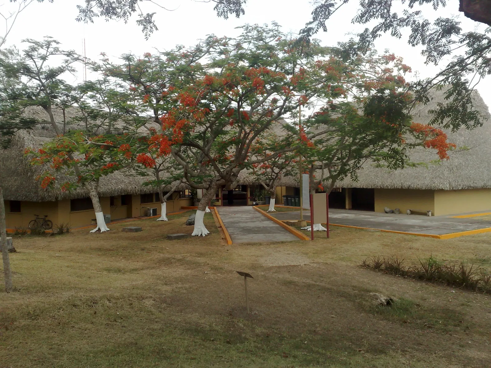 Parque museo La Venta