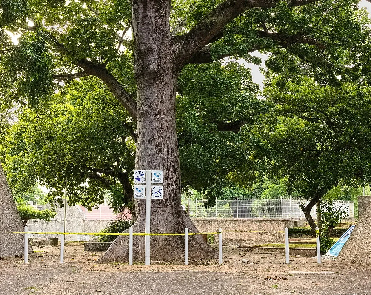 Parque museo La Venta