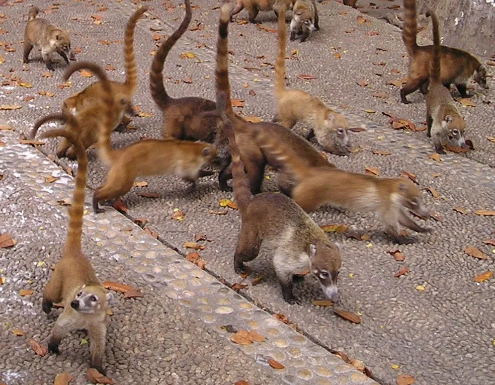 Parc-musée de la Venta