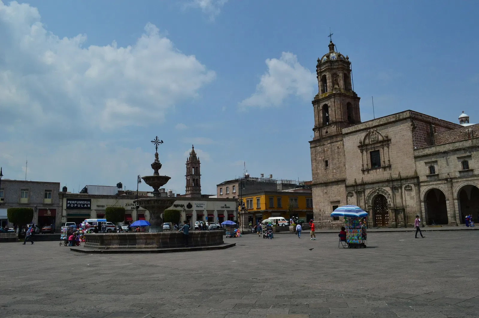 Artisan Institute Michoacano