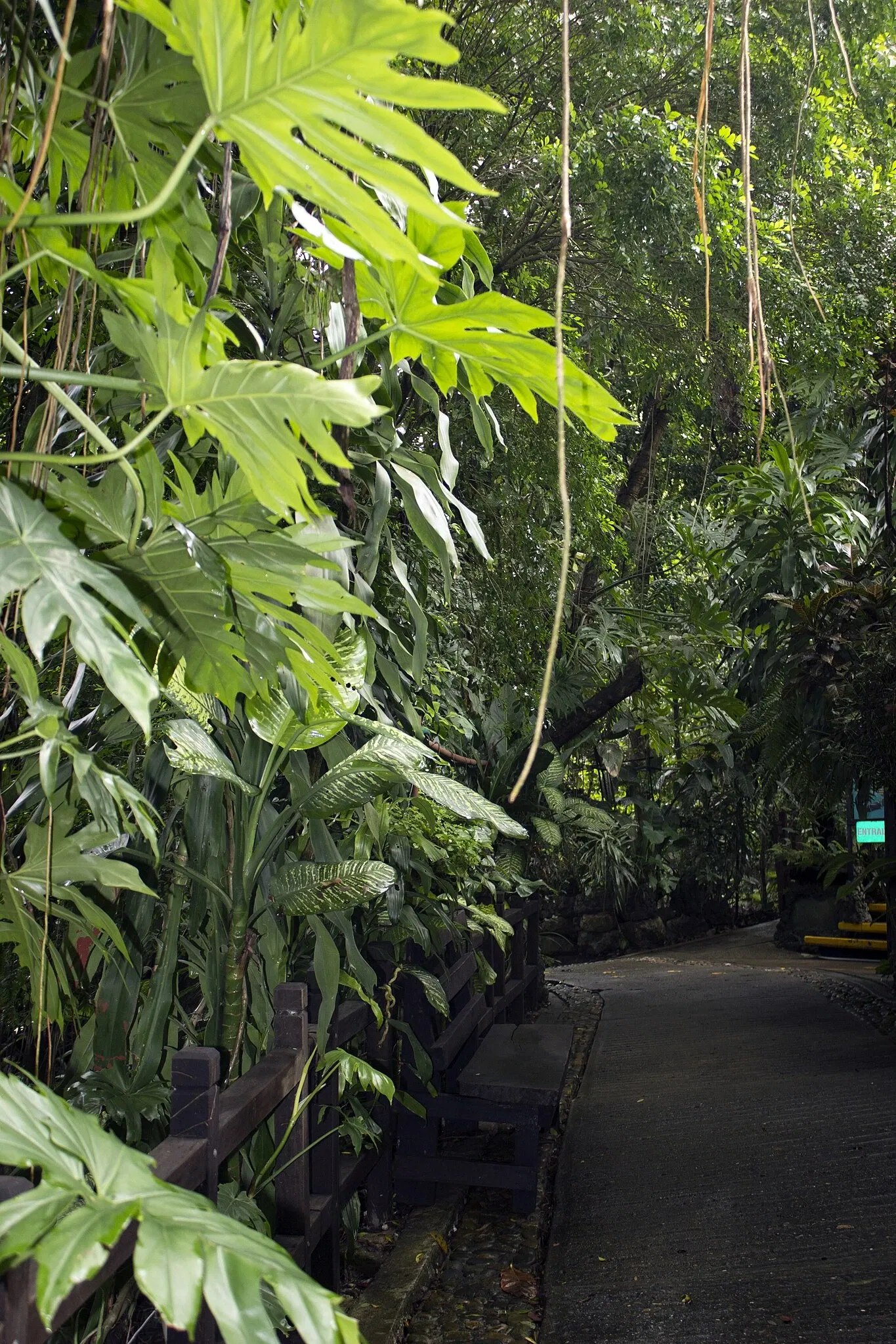 Zoológico Miguél Álvarez del Toro