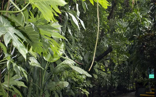 Zoológico Miguél Álvarez del Toro