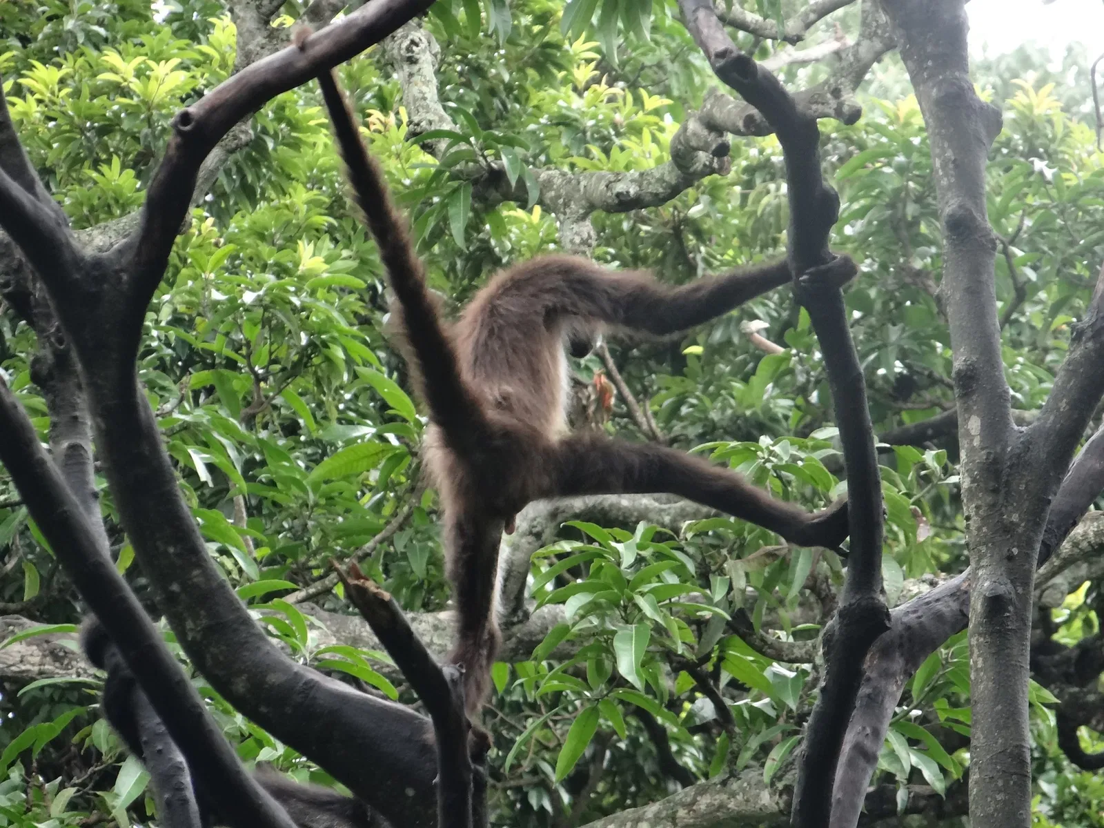 Zoológico Miguél Álvarez del Toro