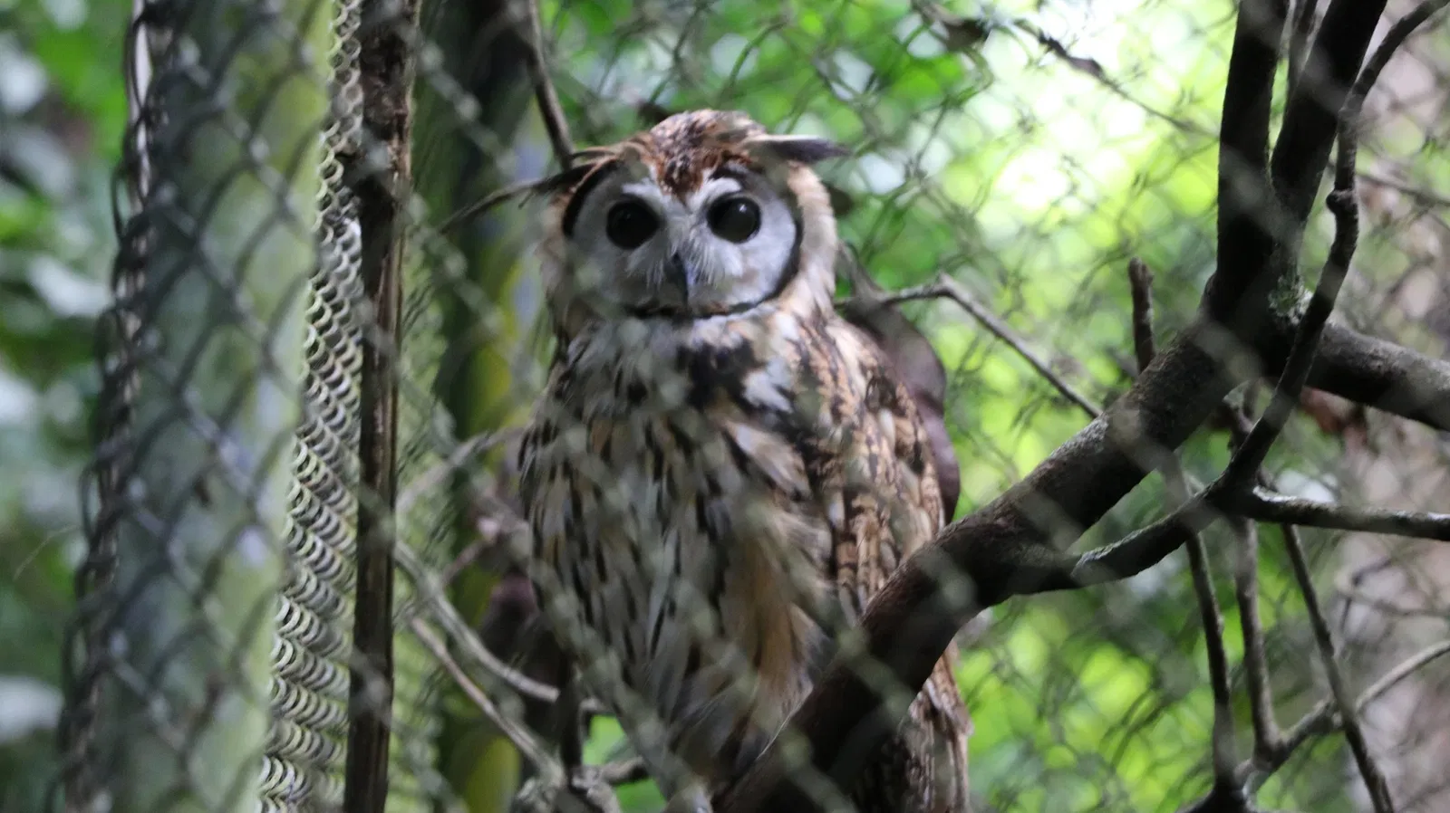 Zoológico Miguél Álvarez del Toro