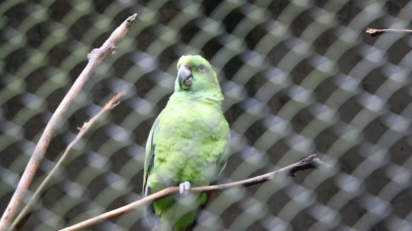 Zoológico Miguél Álvarez del Toro