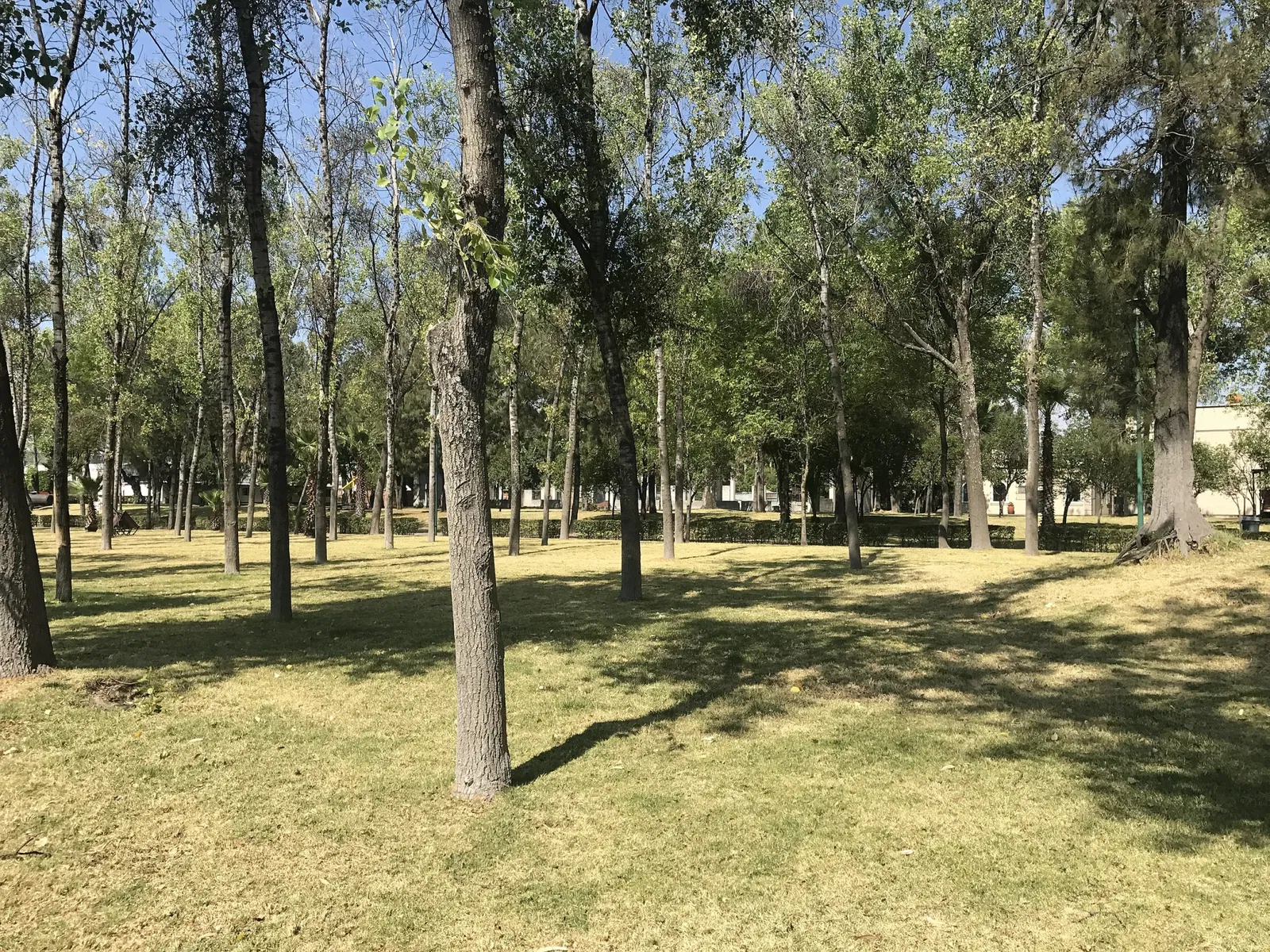 National Museum of Mexican Railroads