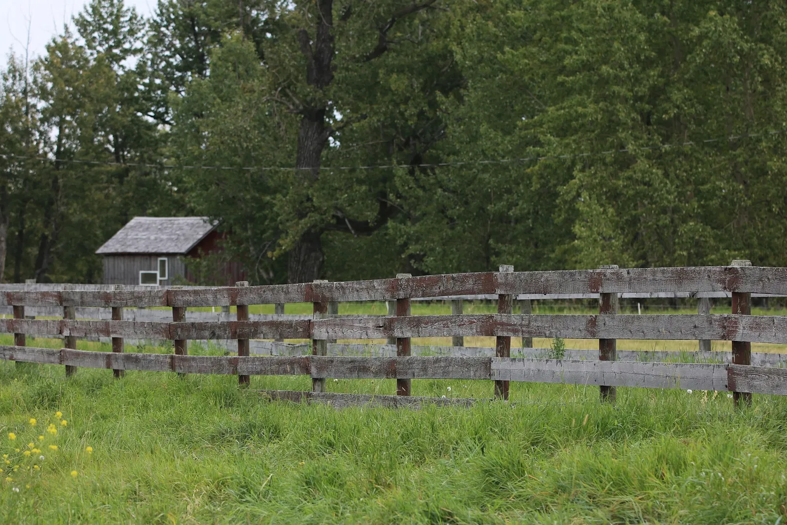 Bar U Ranch National Historic Site