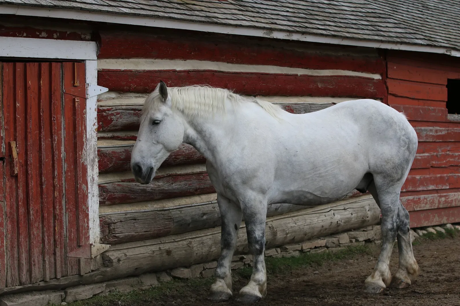 Bar U Ranch National Historic Site