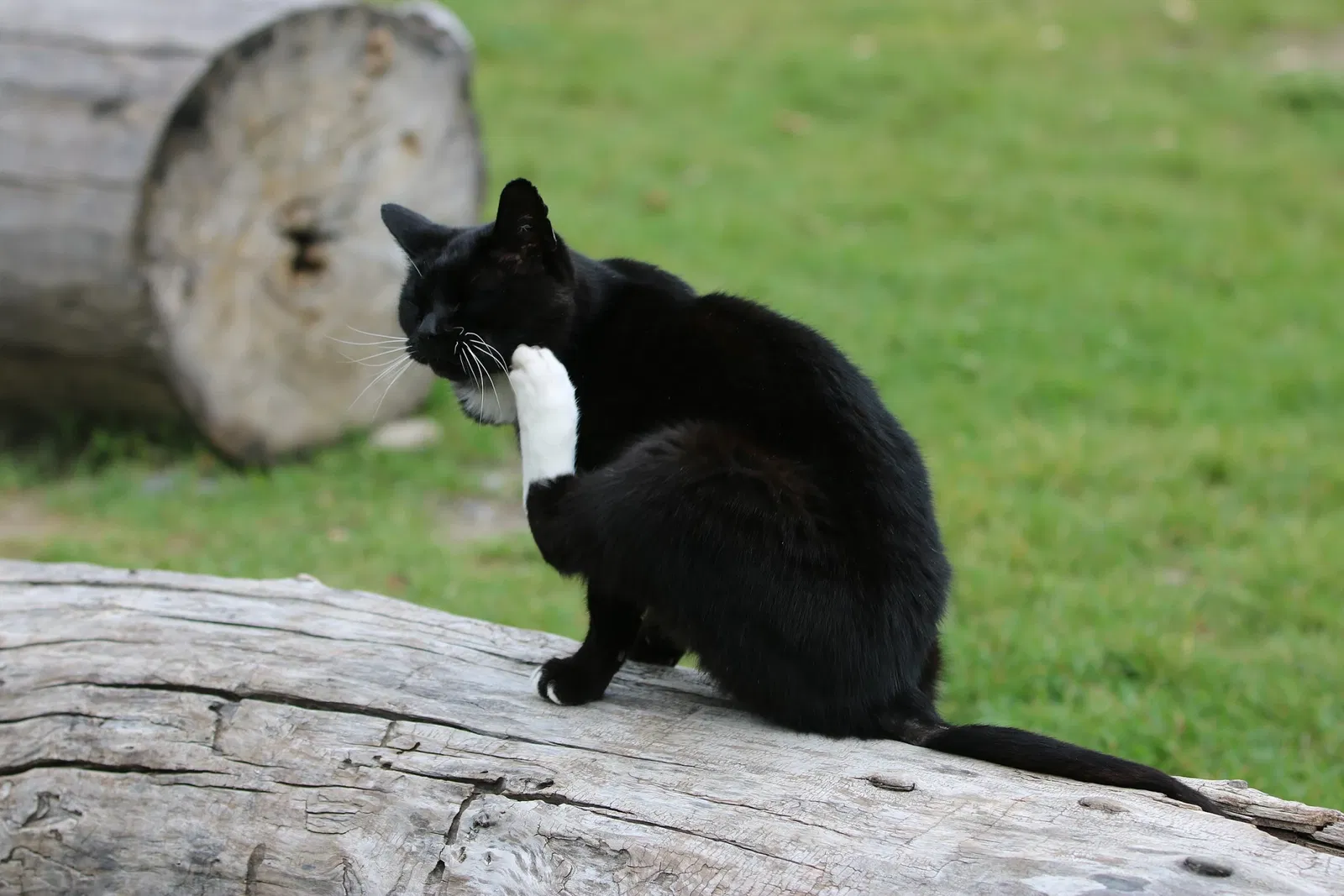 Bar U Ranch National Historic Site