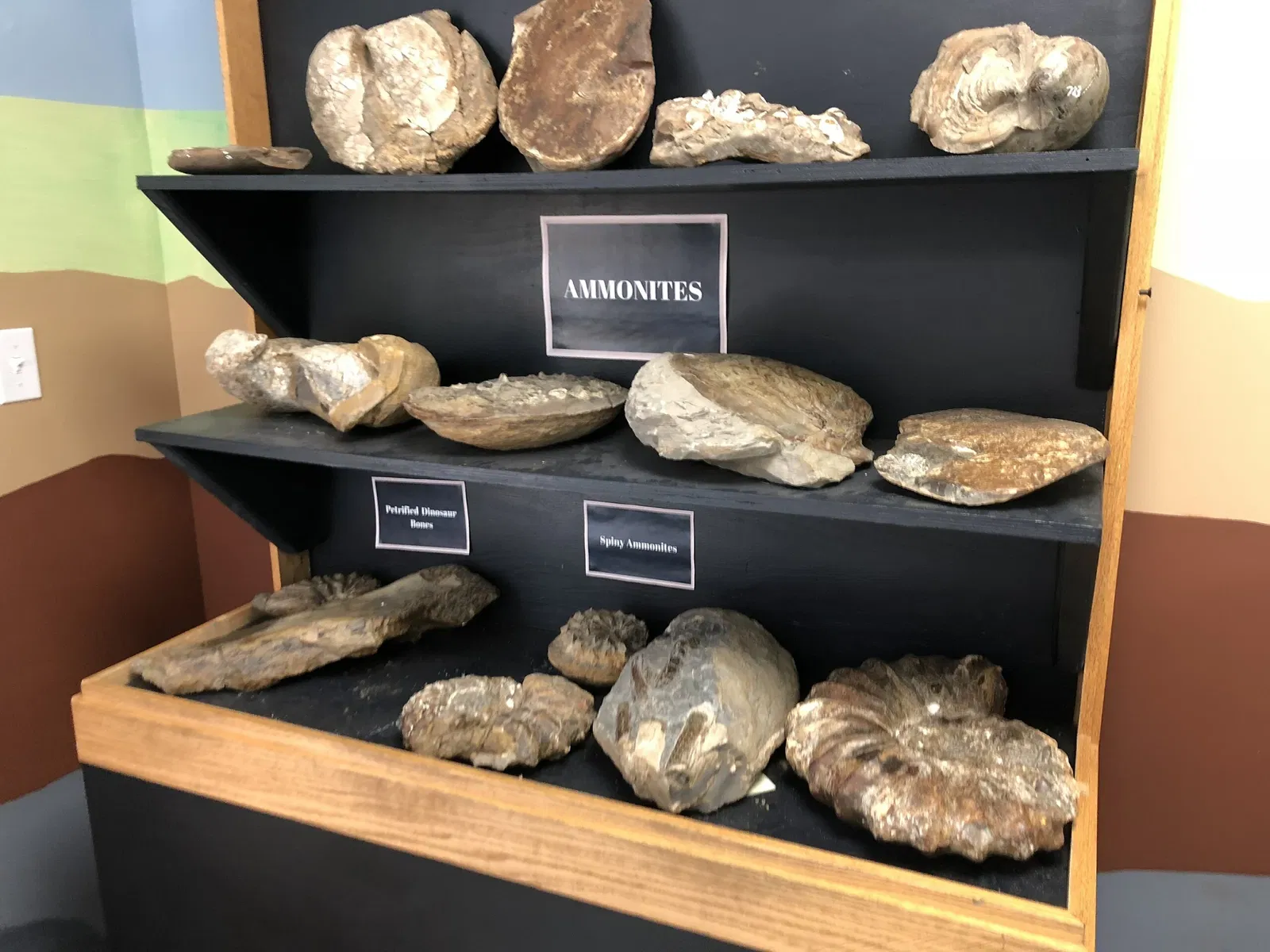 Canadian Energy Museum