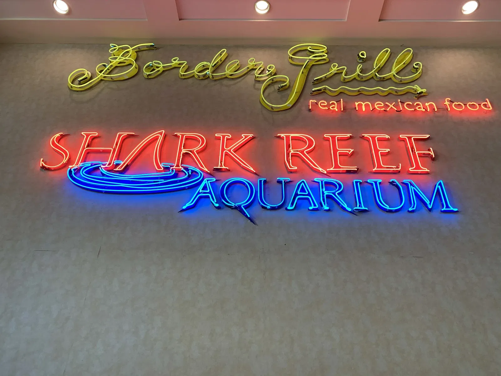 Shark Reef Aquarium