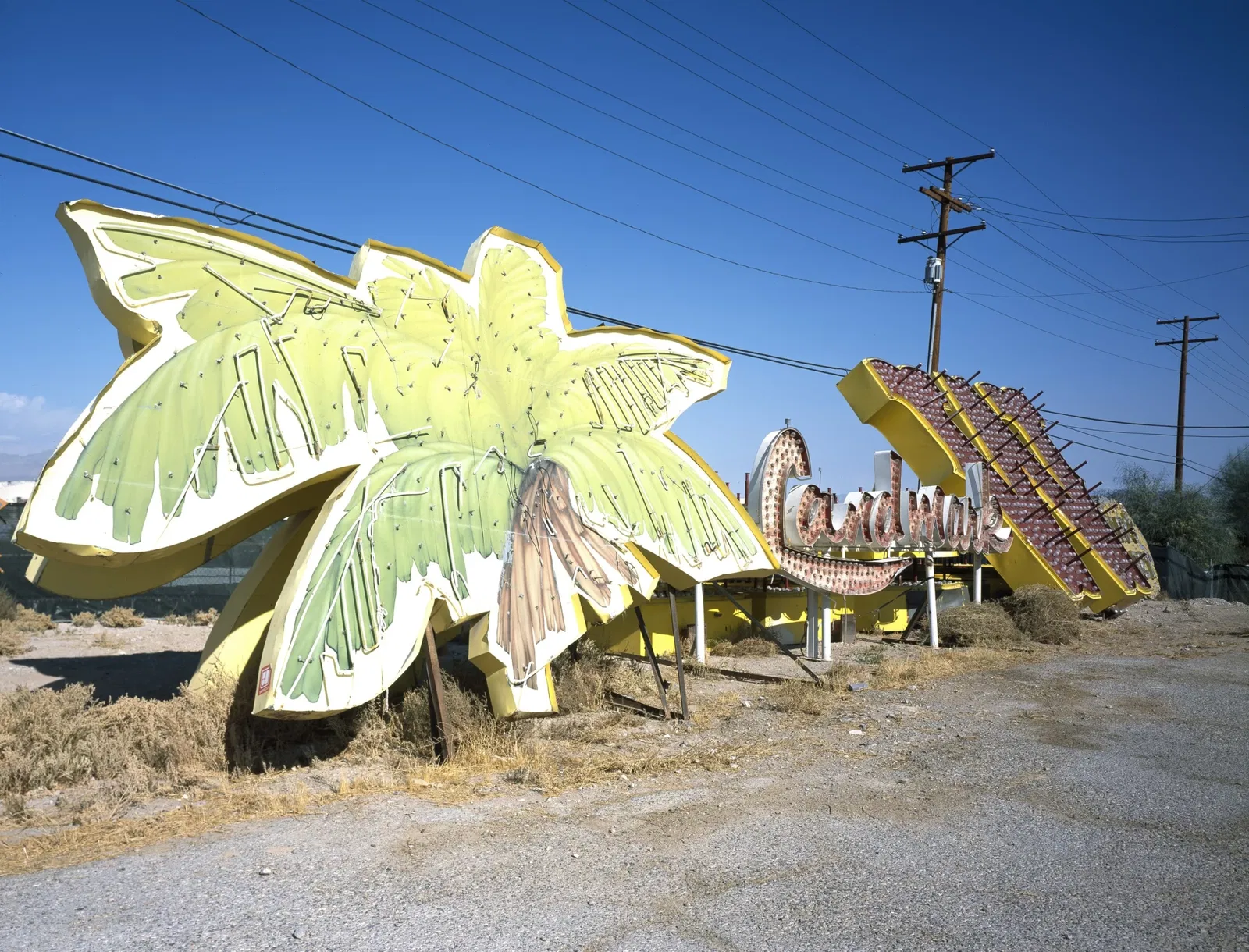 Neon Museum