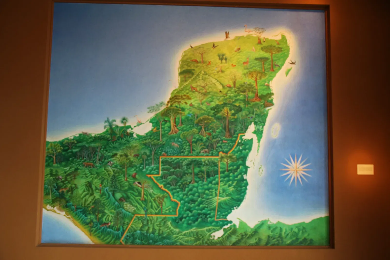 Nationaal Museum voor Antropologie