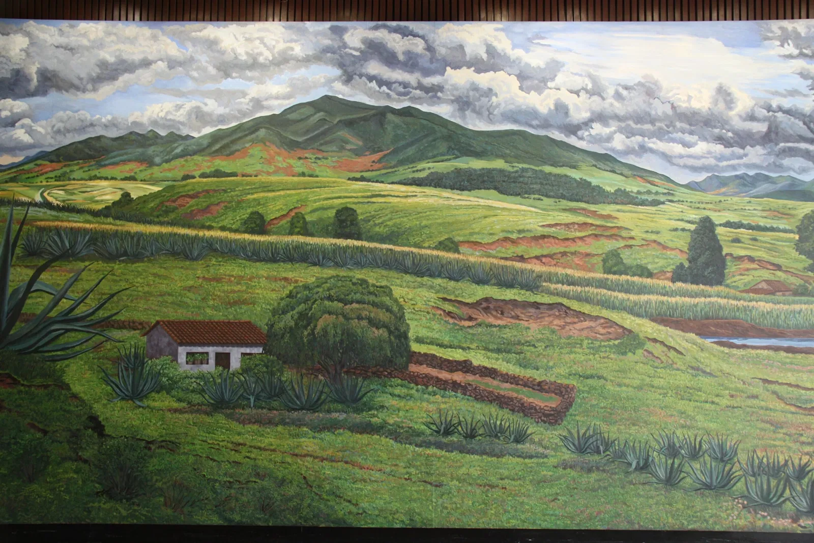 Nationaal Museum voor Antropologie