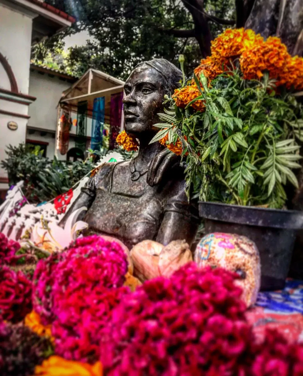 Frida Kahlo Museum