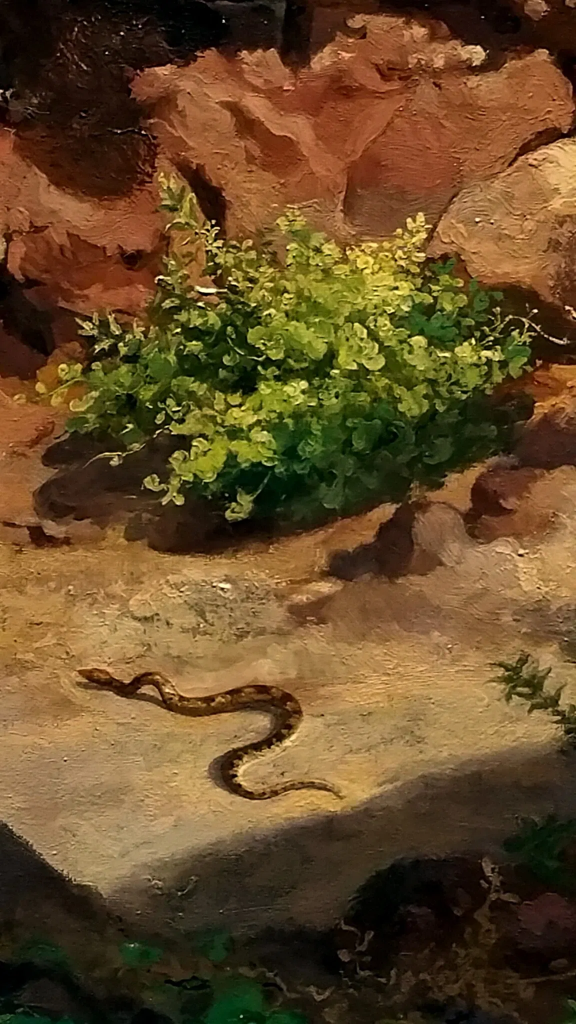 Museo Nacional de Arte