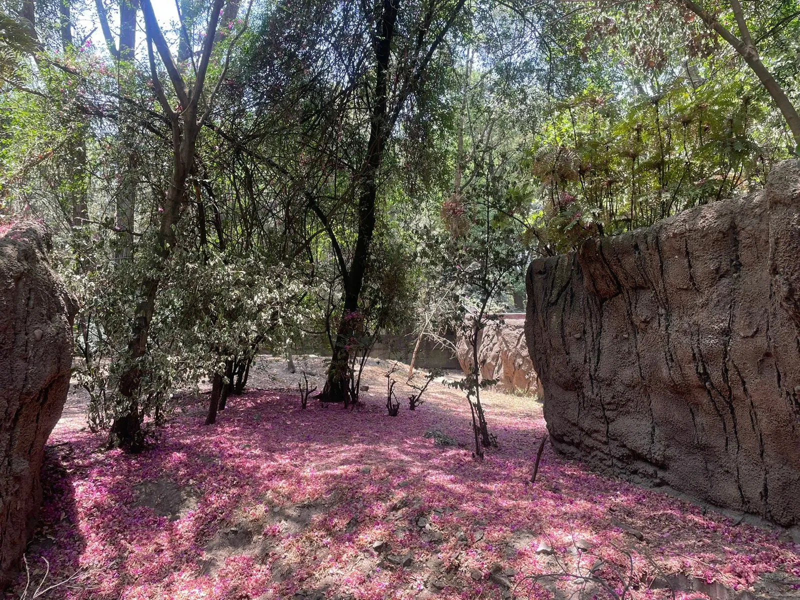 Zoológico de Chapultepec