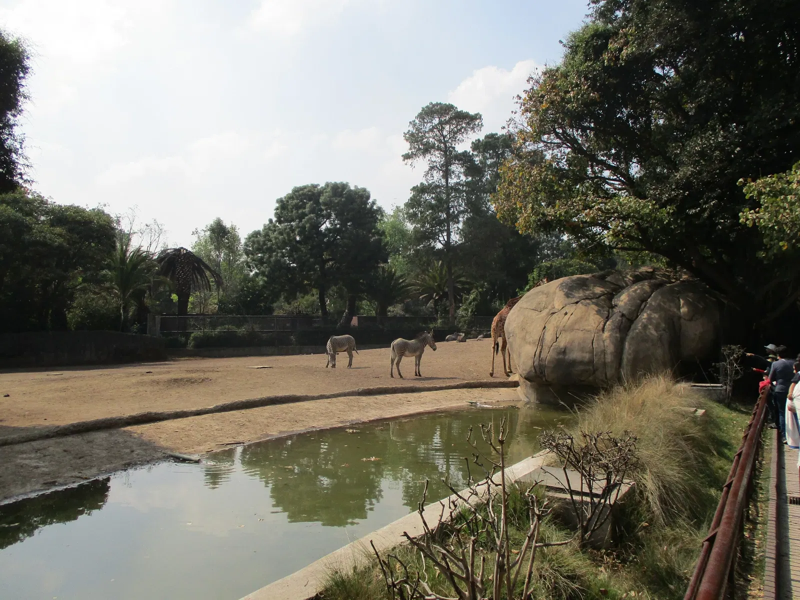 Zoológico de Chapultepec