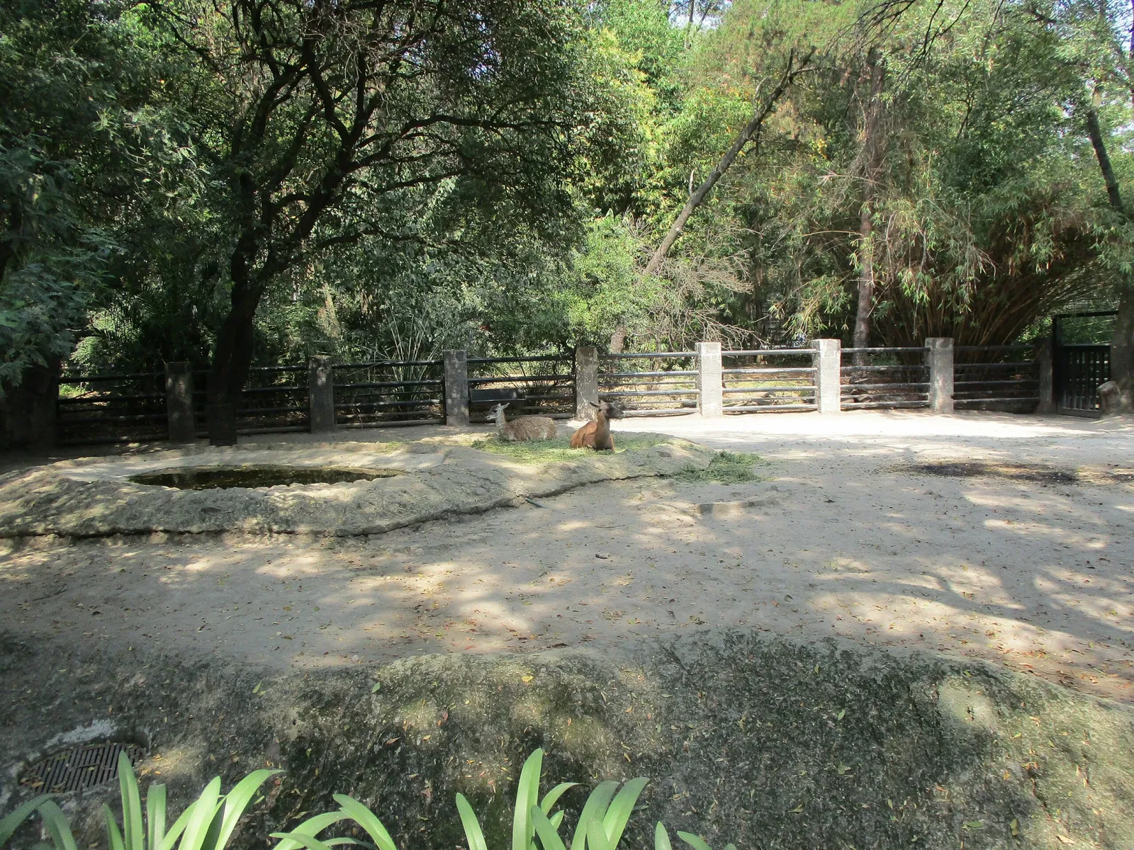 Zoo de Chapultepec