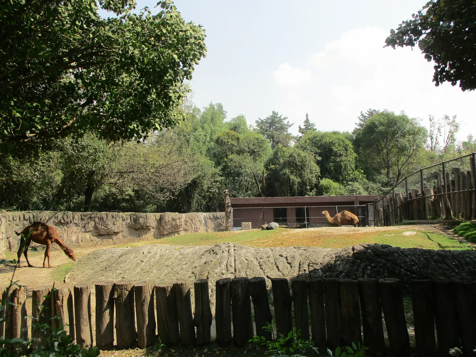 Chapultepec Zoo