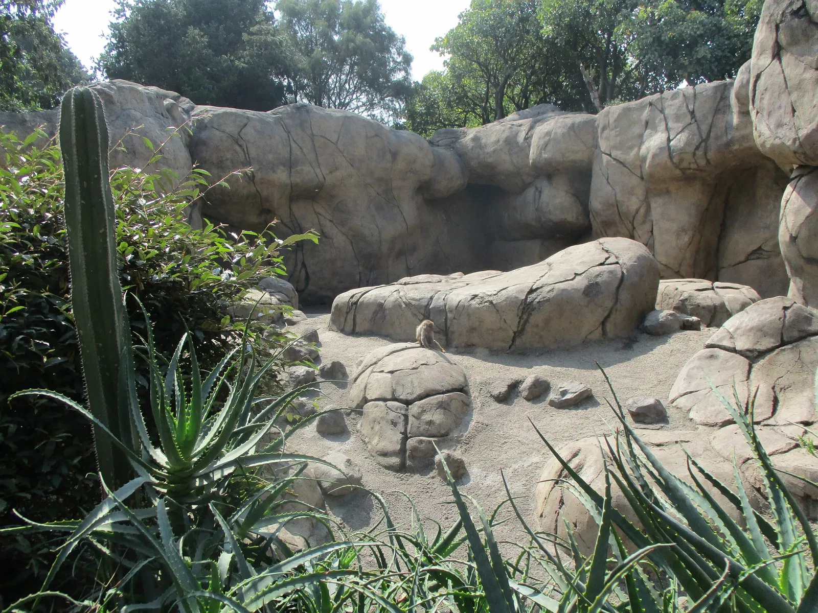 Zoológico de Chapultepec