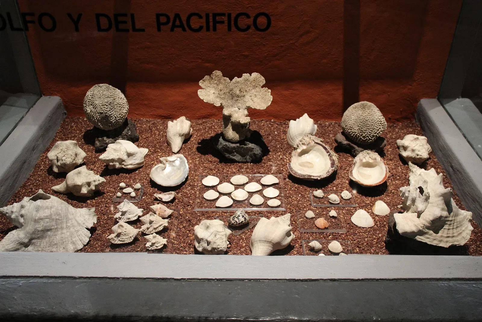 Musée du Templo Mayor