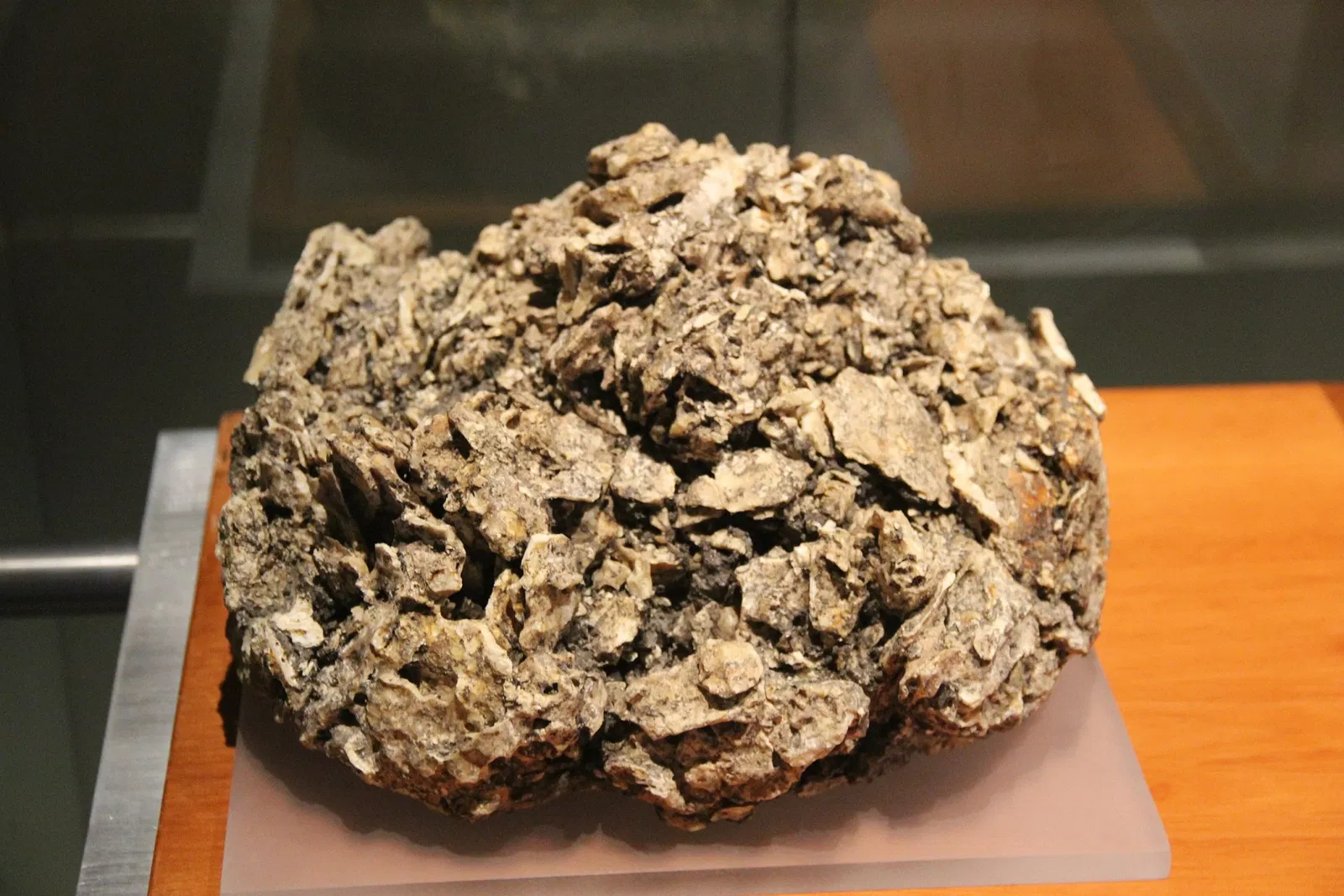 Museo del Templo Mayor