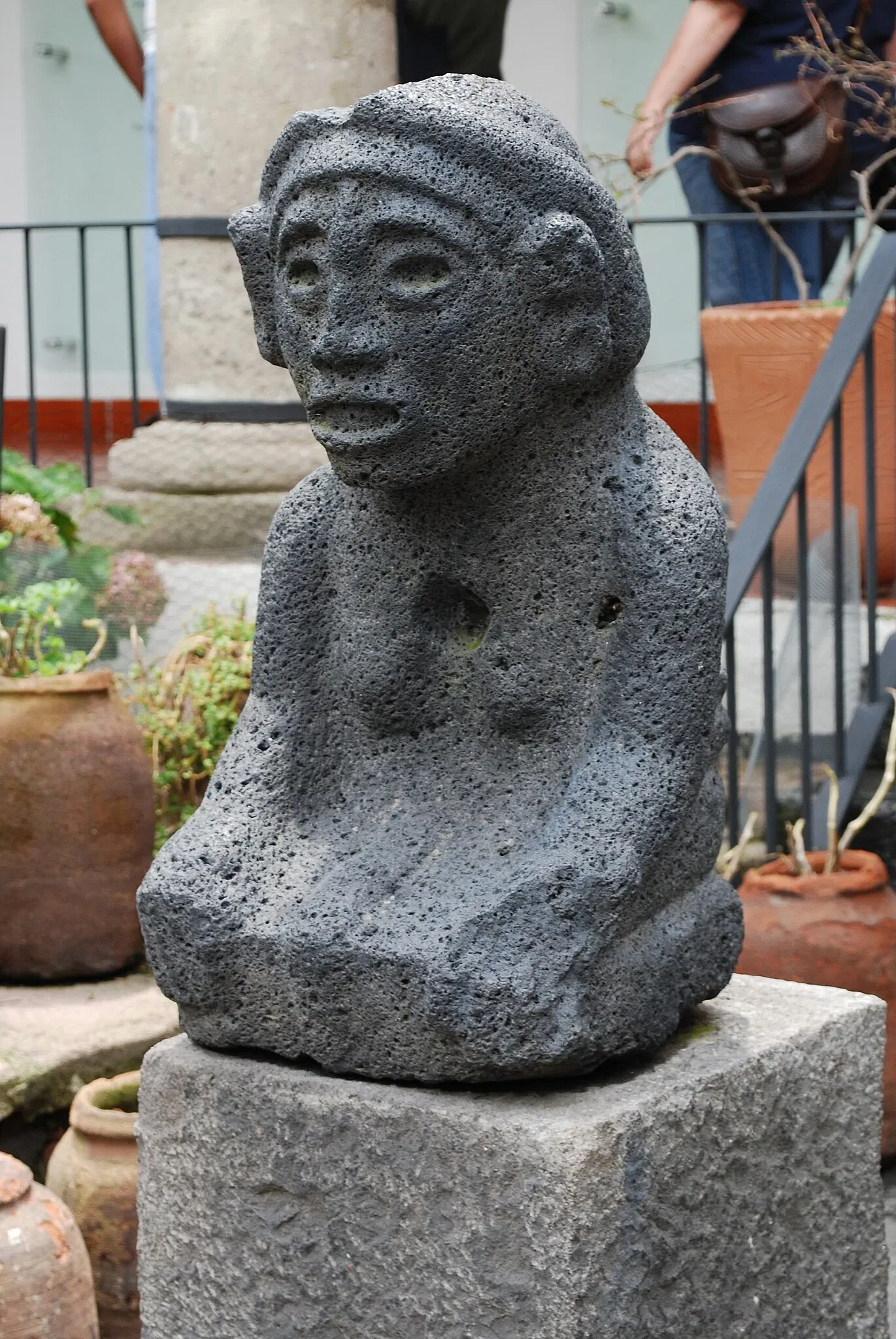 Dolores Olmedo Museum