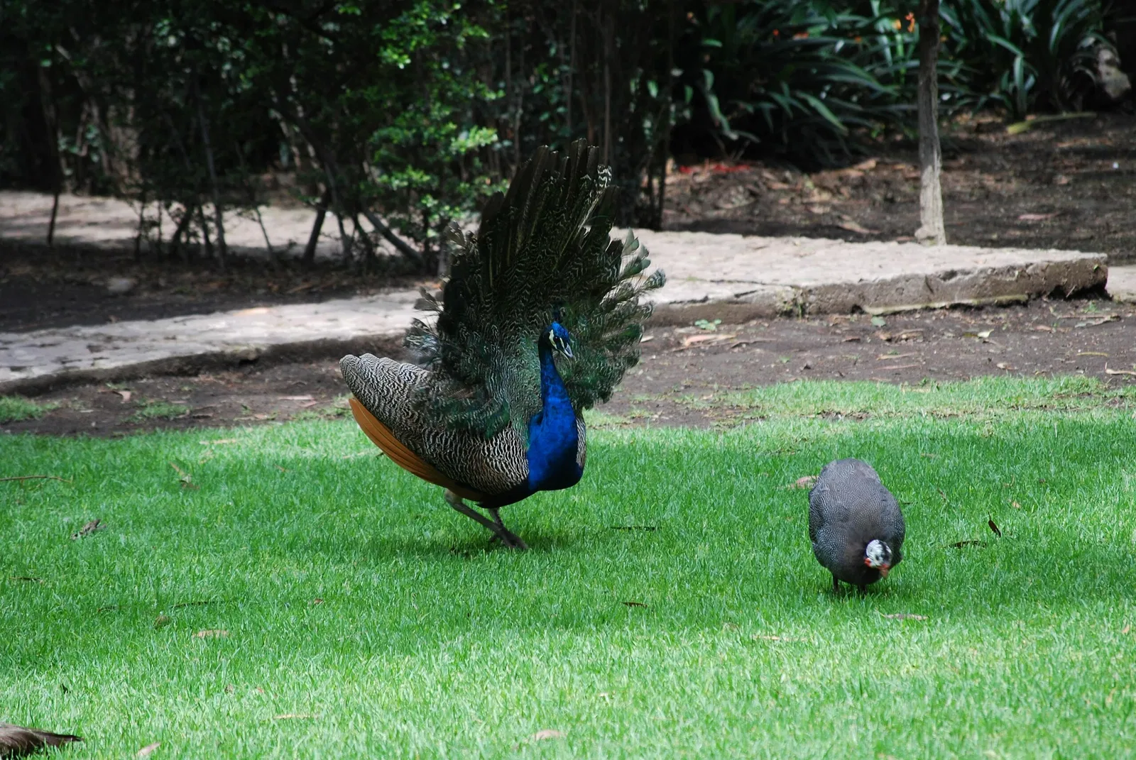 Museo Dolores Olmedo