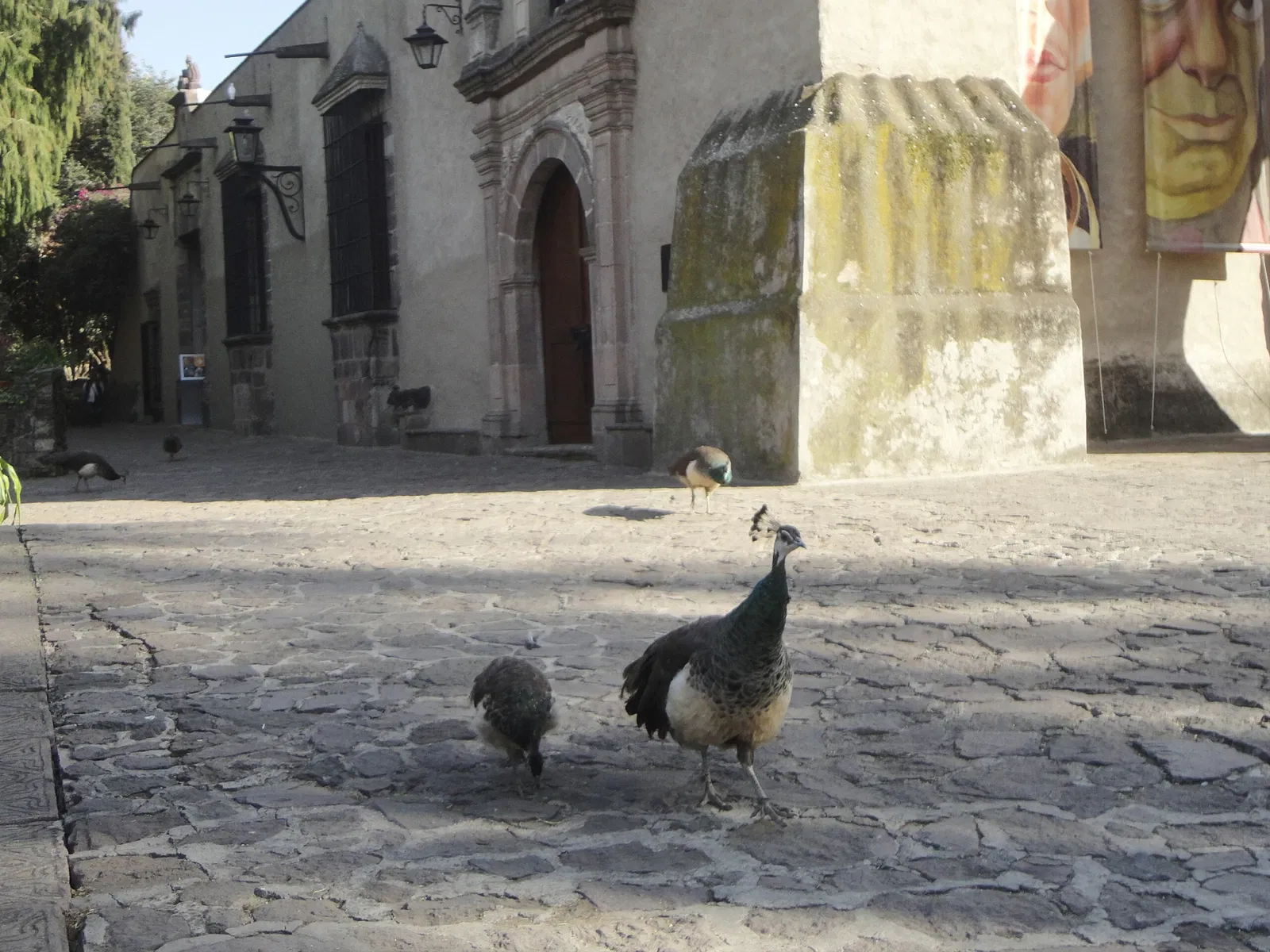 Musée Dolores-Olmedo