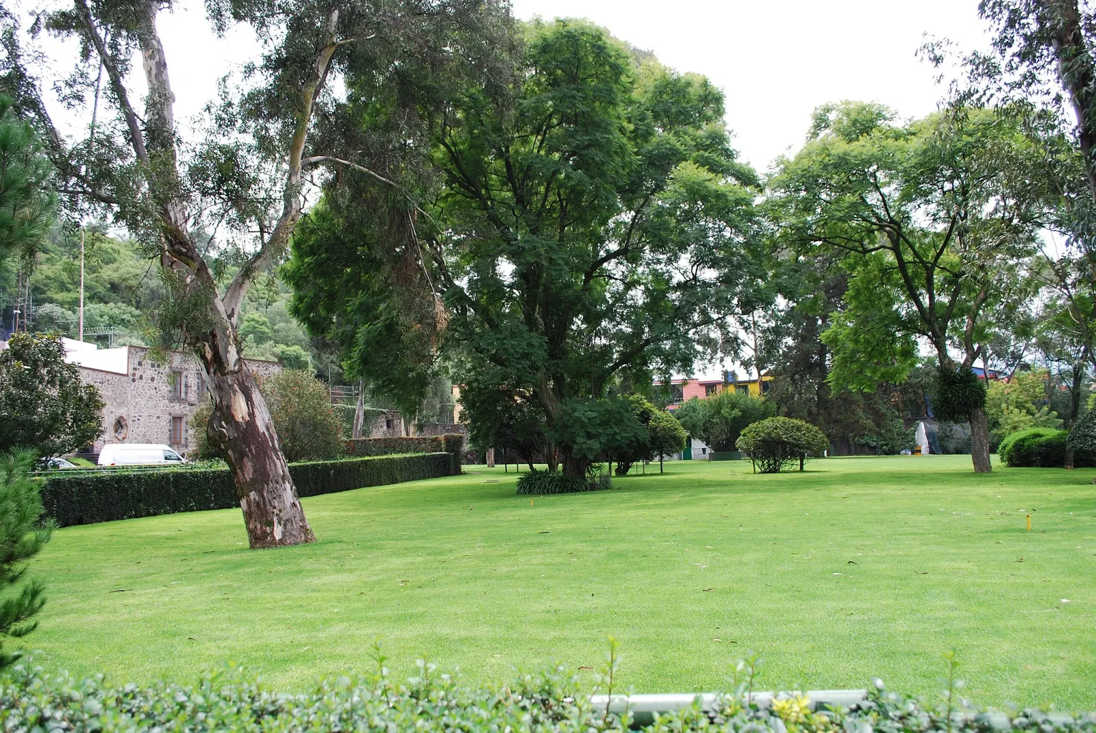 Museo Dolores Olmedo