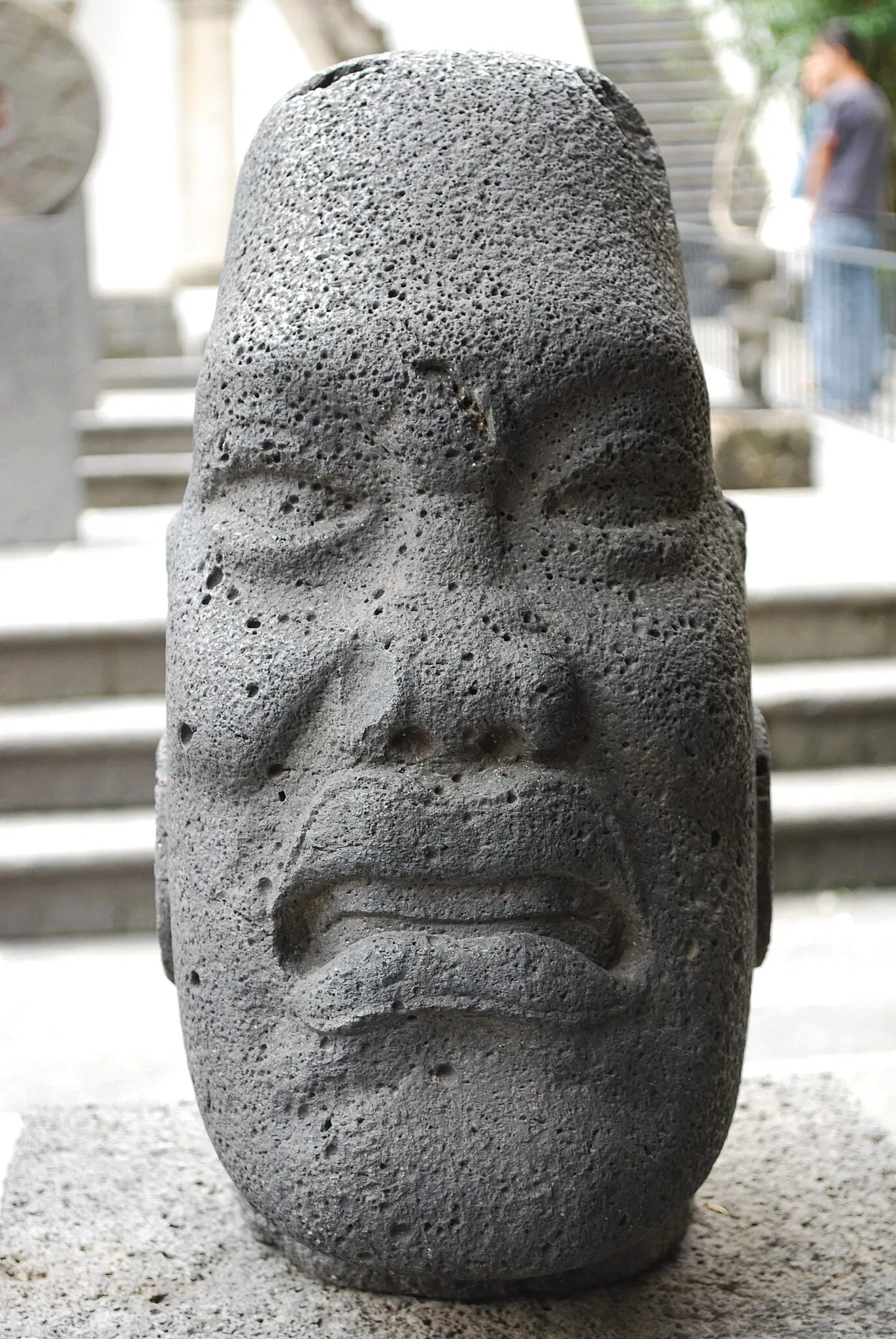 Museo Dolores Olmedo