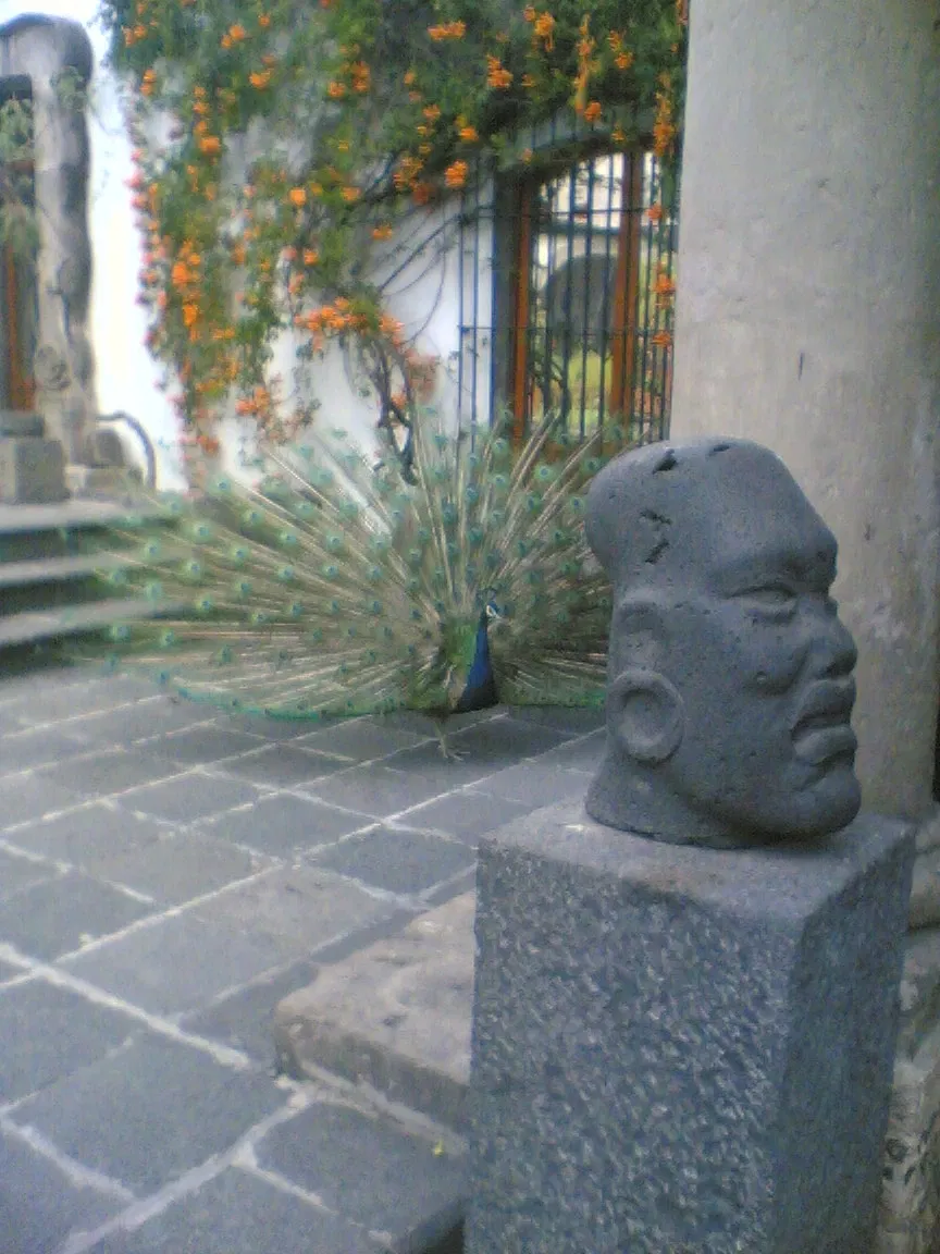 Musée Dolores-Olmedo