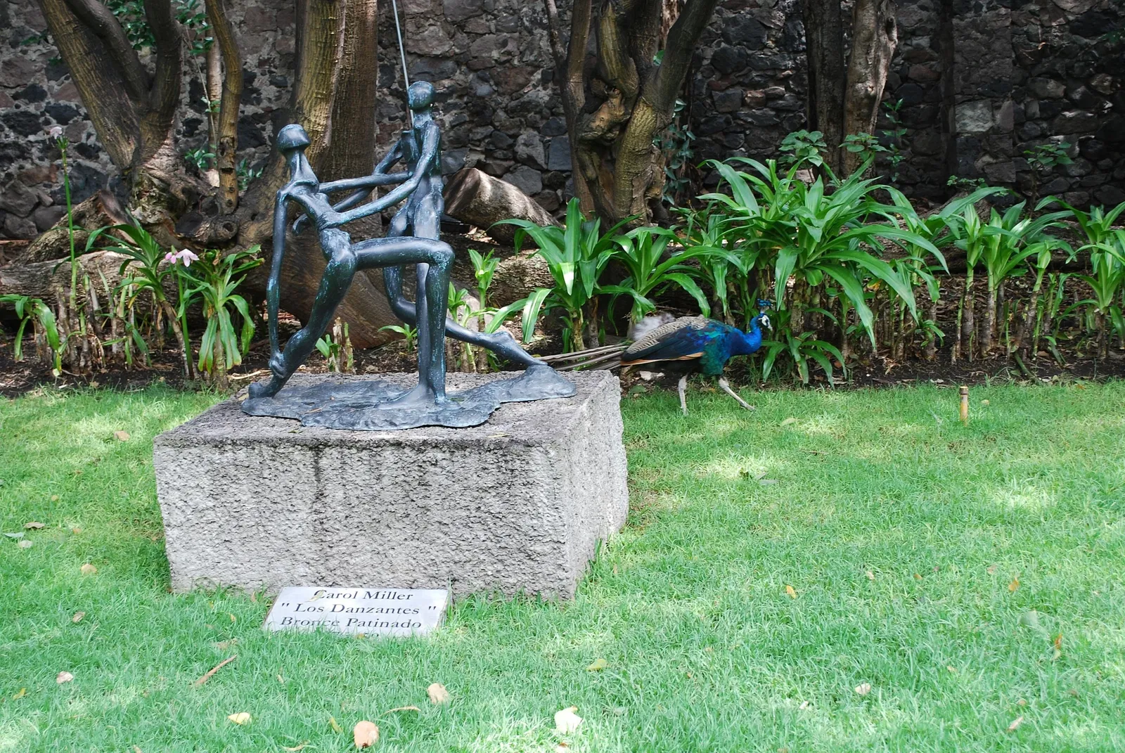 Dolores Olmedo Museum