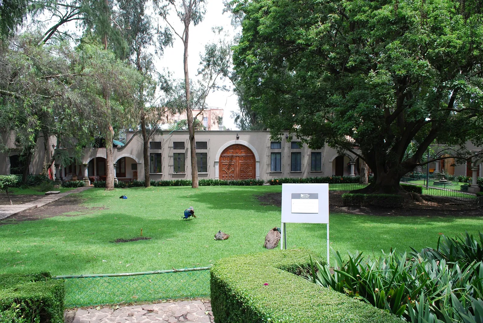 Musée Dolores-Olmedo