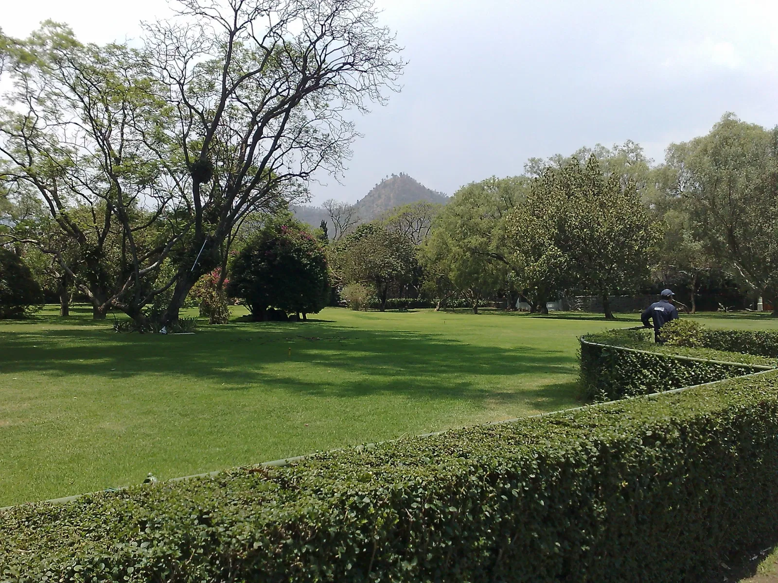Museo Dolores Olmedo