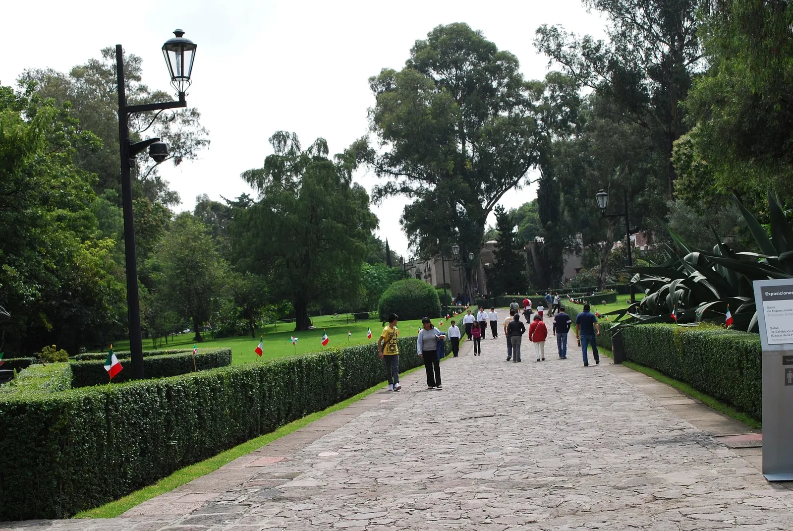 Musée Dolores-Olmedo