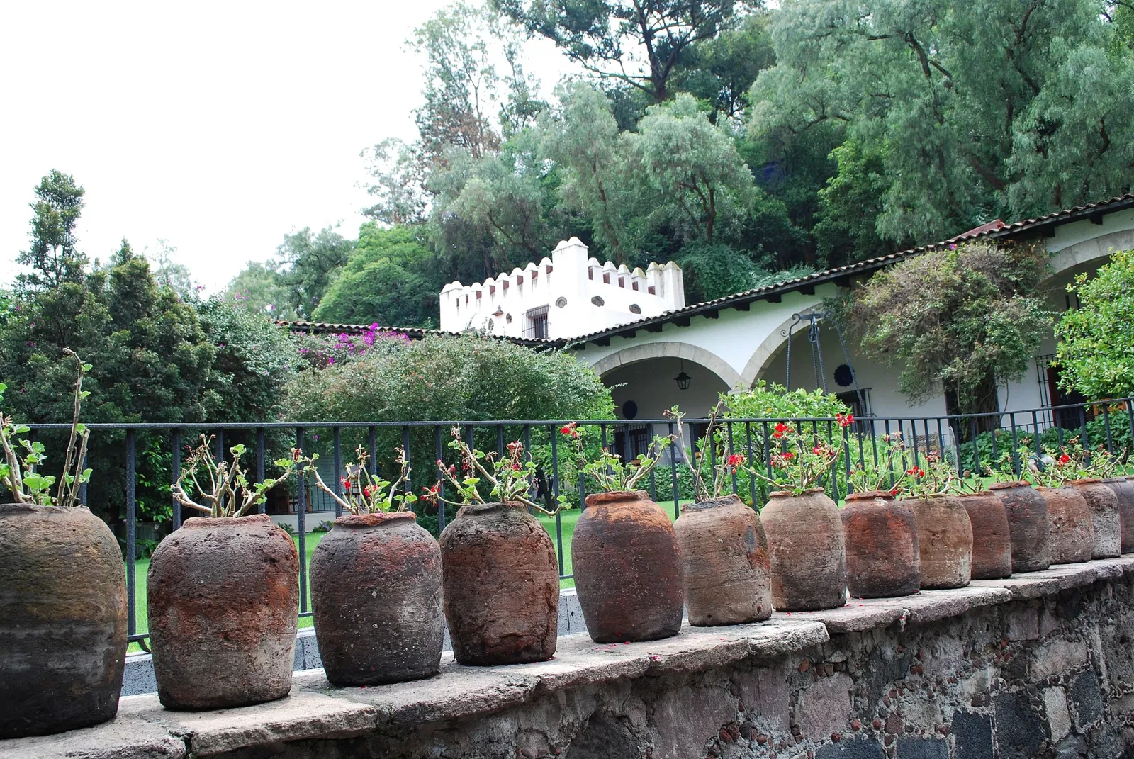 Musée Dolores-Olmedo