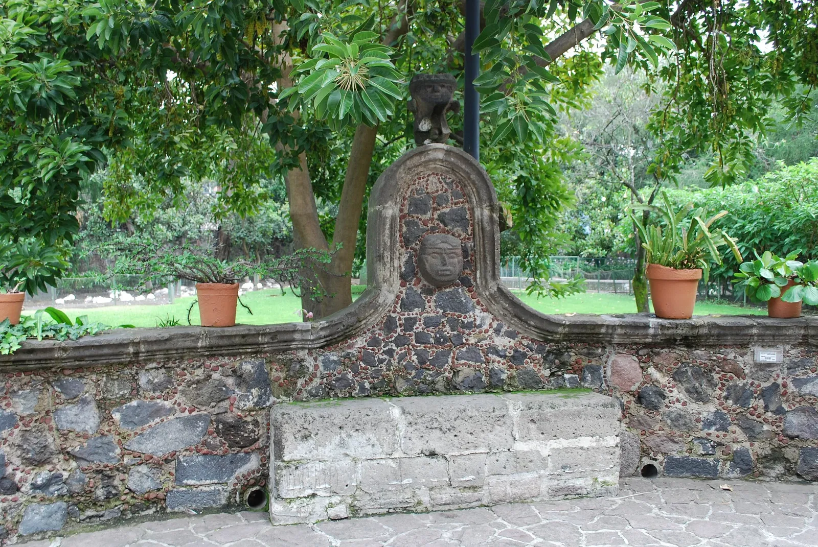 Dolores Olmedo Museum