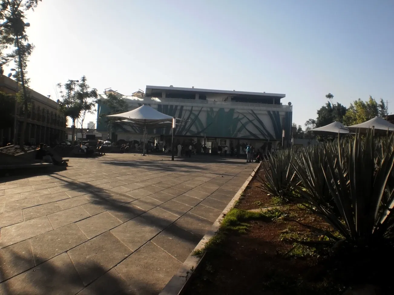 Museo del Tequila y el Mezcal