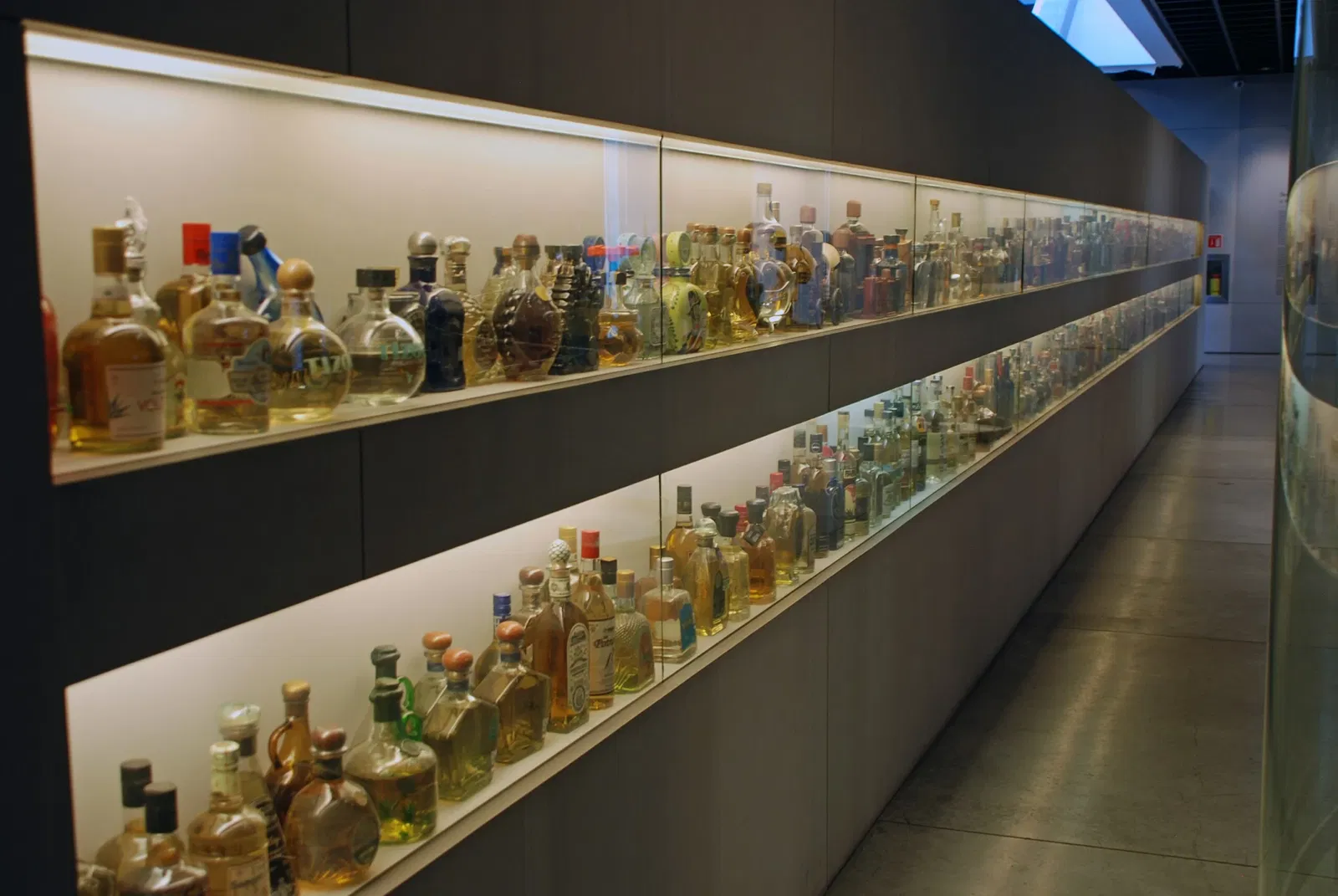 Museo del Tequila y el Mezcal