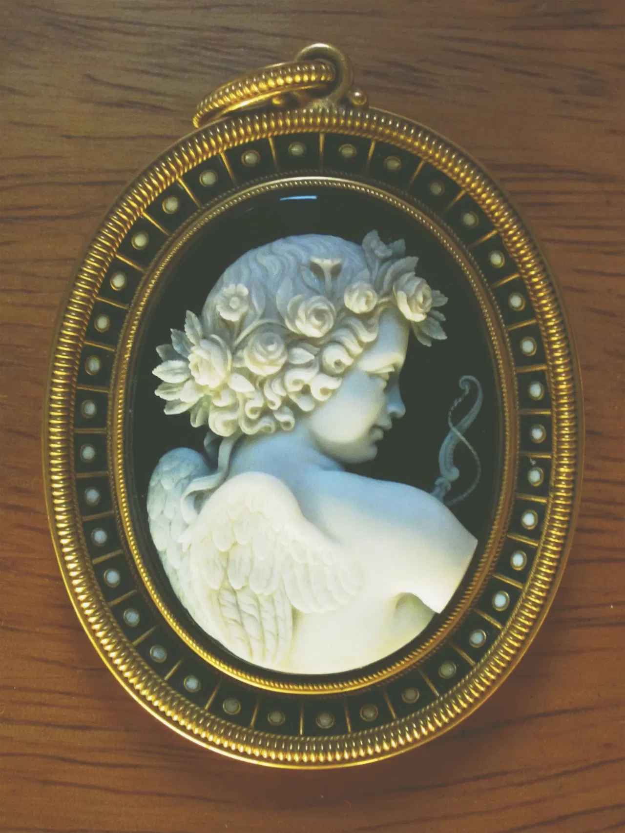 Museo de Historia Natural