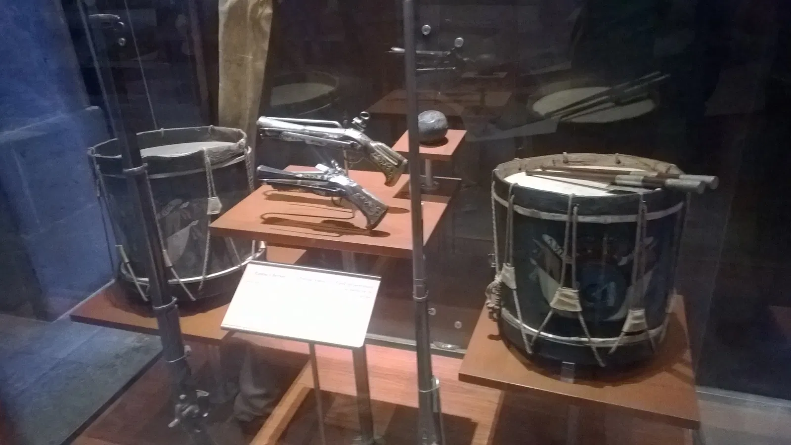 Museo de Historia Natural