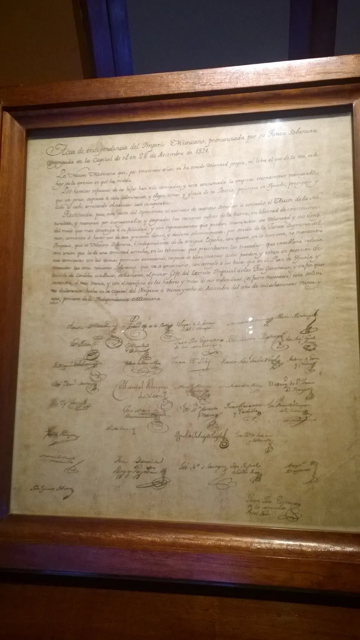 Museo de Historia Natural